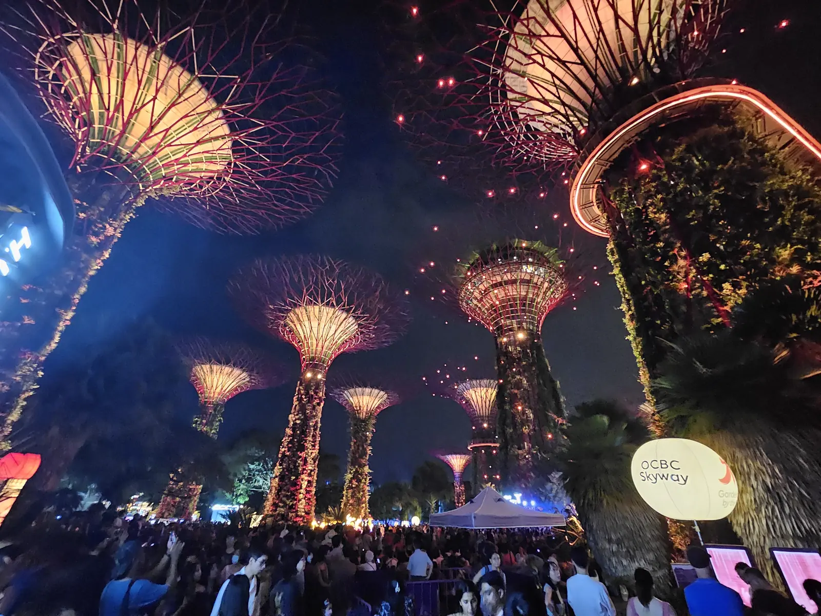 Leuchtende Supertrees in den Gardens by the Bay in Singapur